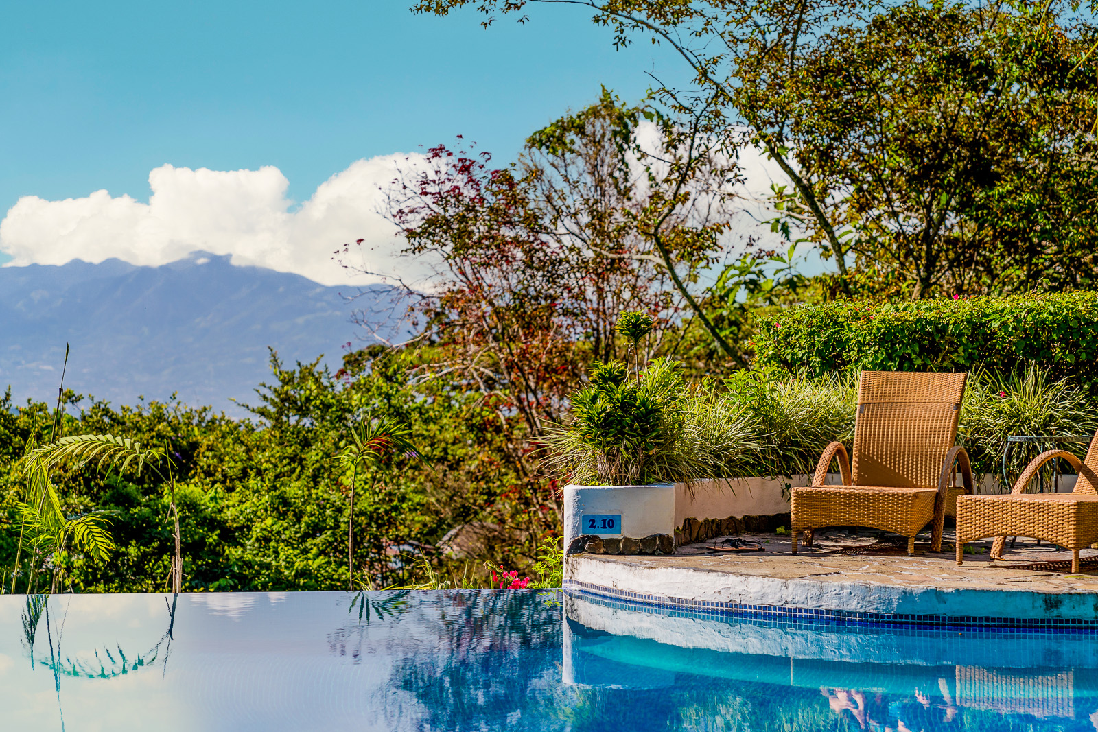 Guest swimming pool at Finca Rosa Blanca