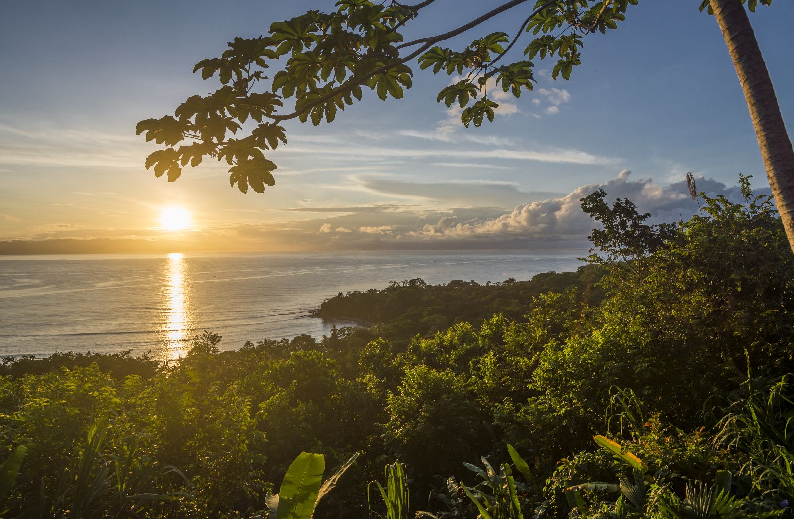 Coastal views from Lapa Rios Costa Ria