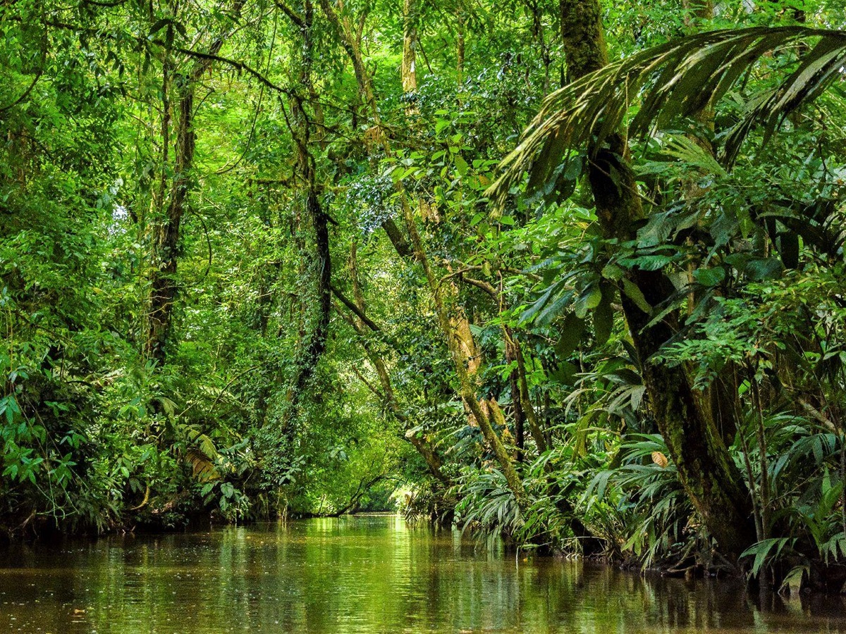 Exploring the Tortuguero canals from Manatus Lodge Costa Rica