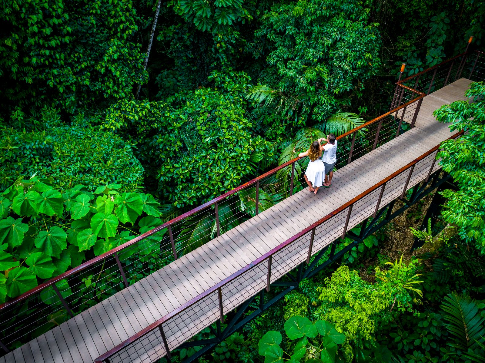 Canopy  bridge to the Nayara Springs resort Costa Rica