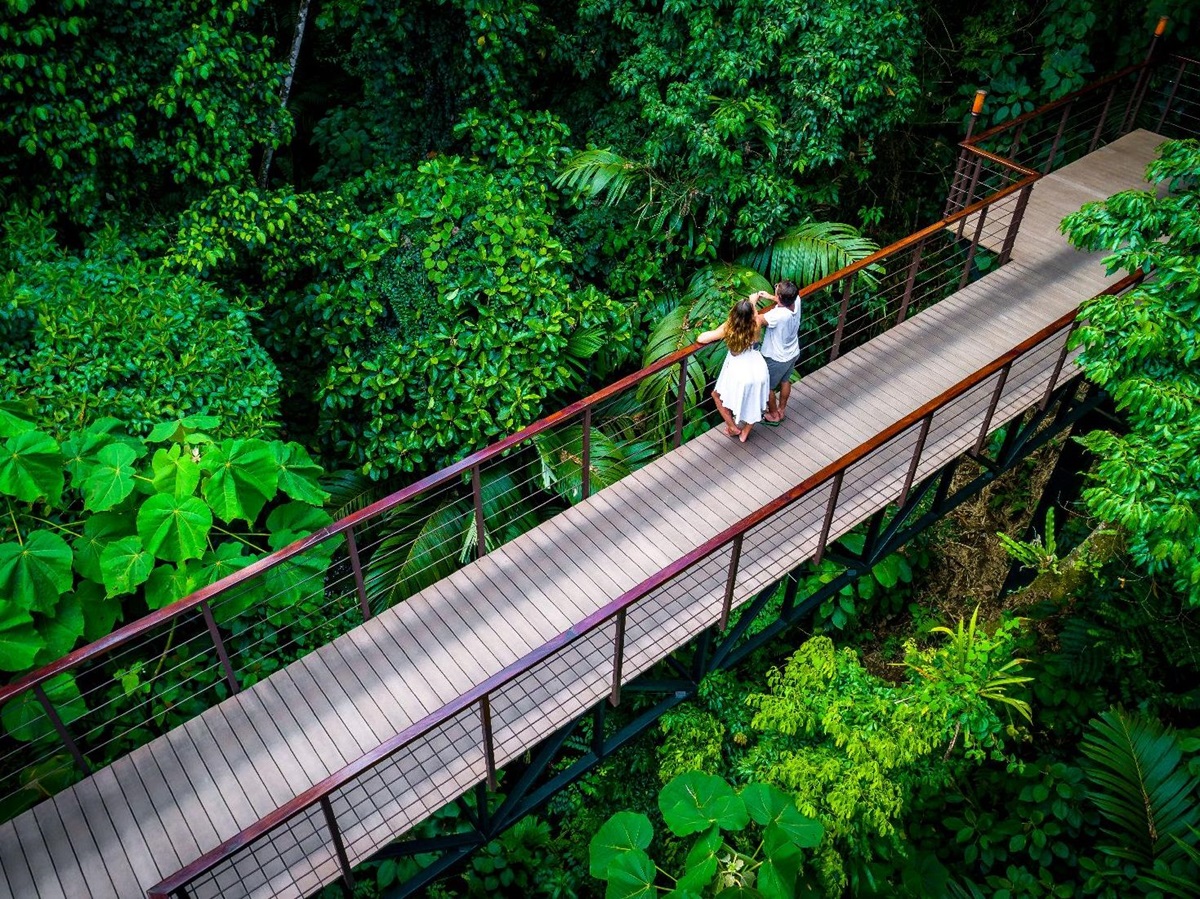 Canopy bridge to the Nayara Springs resort Costa Rica