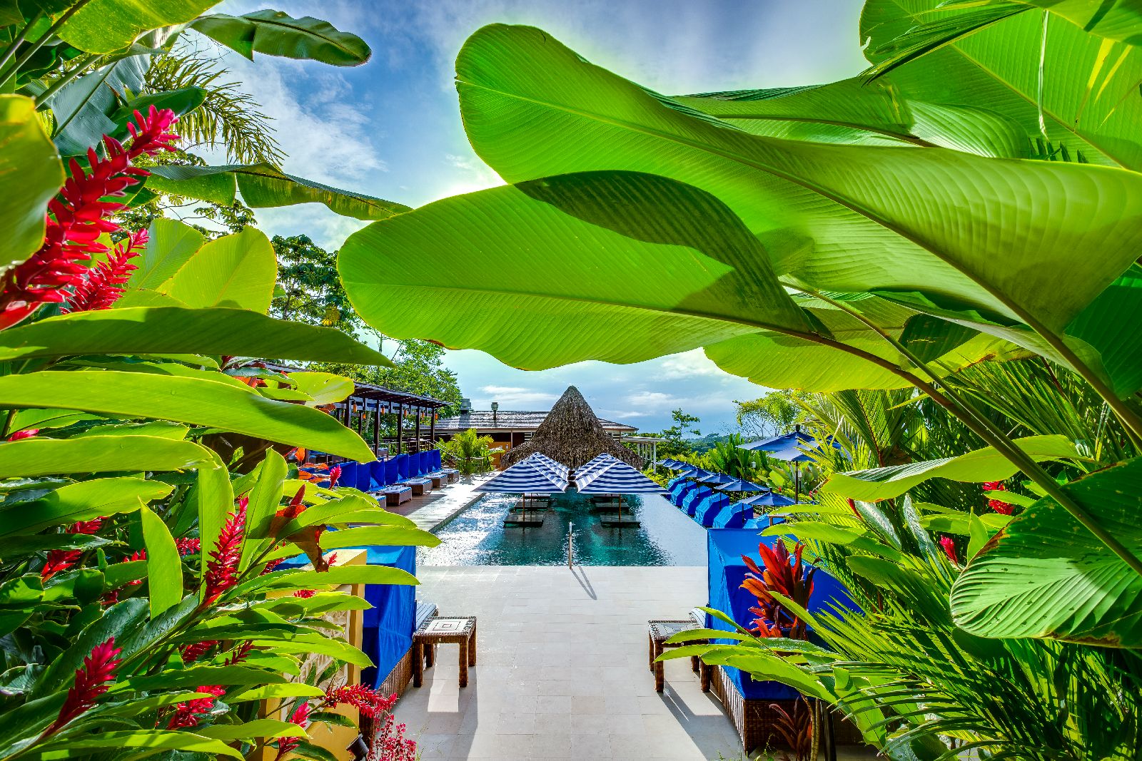 The swimming pool and bar at Nayara Springs Arenal Costa Rica