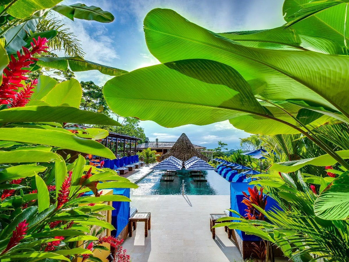 The swimming pool and bar at Nayara Springs Arenal Costa Rica