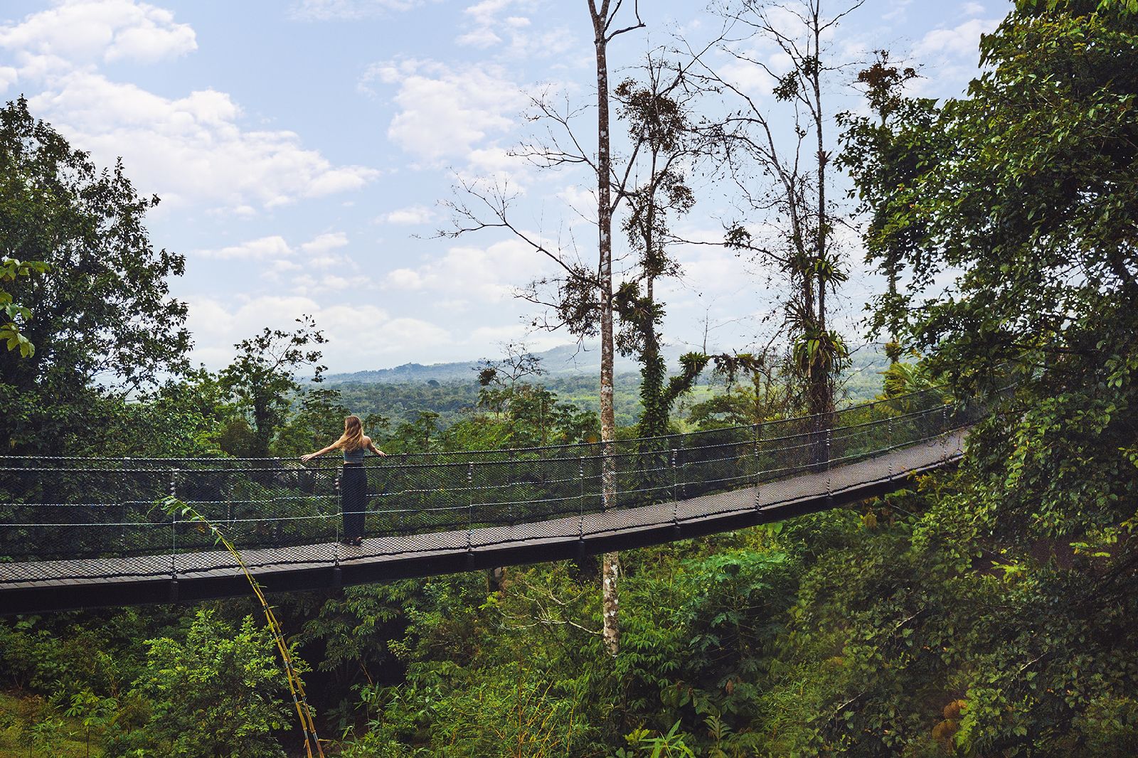 Hanging bridge through the forest at Nayara Tented Camp Arenal Costa Rica