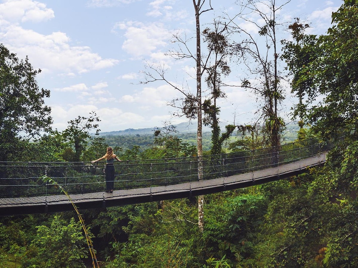 Hanging bridge through the forest at Nayara Tented Camp Arenal Costa Rica