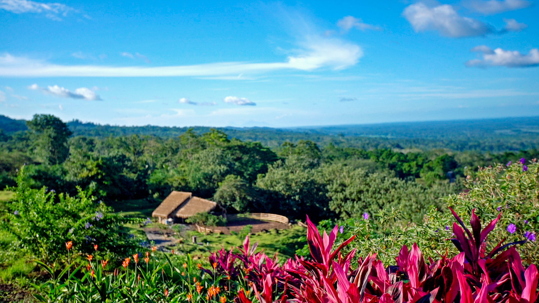 Exterior view of the stables at ORIGINS Lodge in Costa Rica