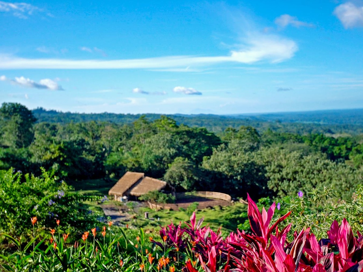 Exterior view of the stables at ORIGINS Lodge in Costa Rica
