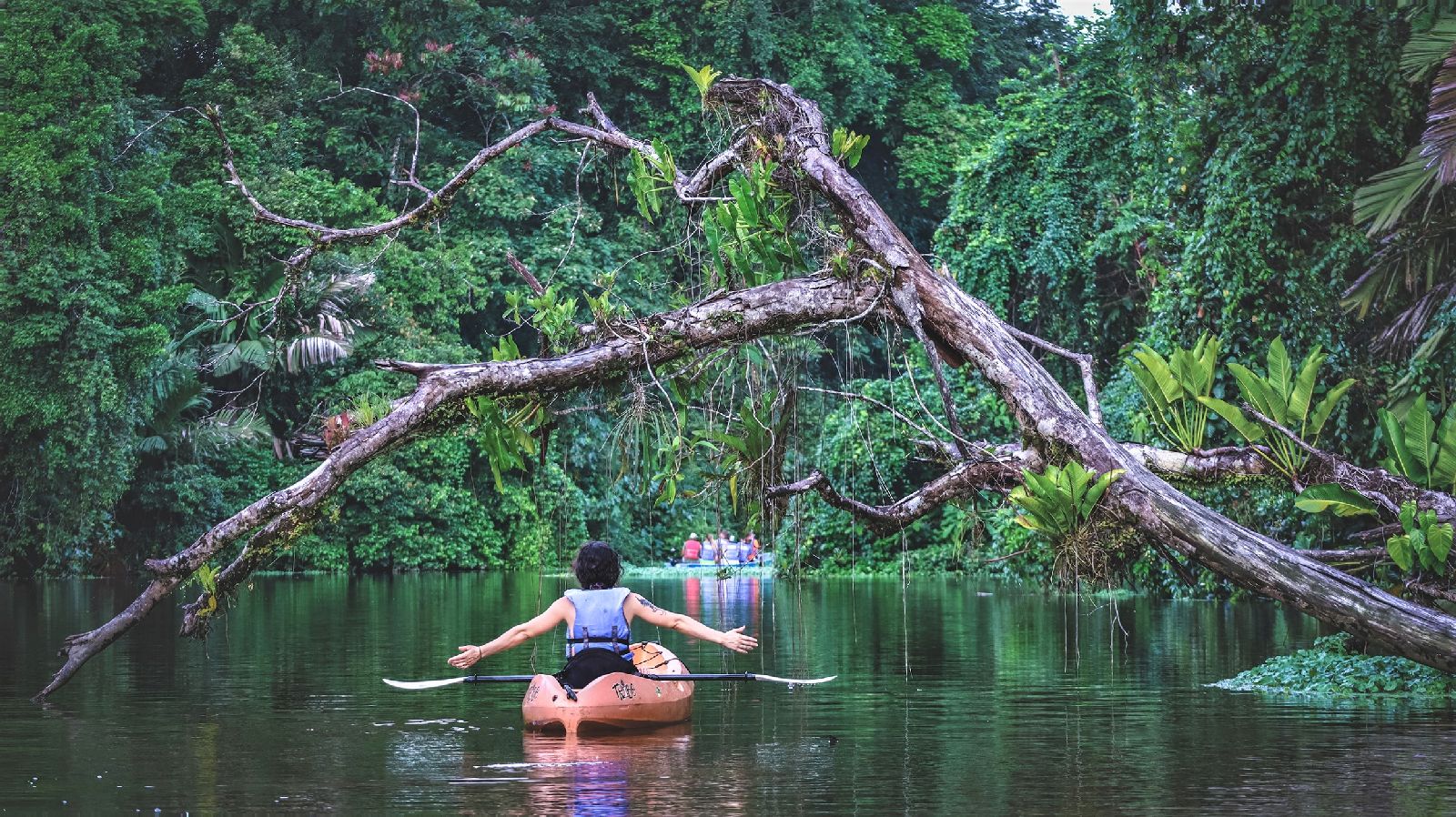 Guest kayaking along the Tortuguero canals from Tortuga Lodge Costa Rica