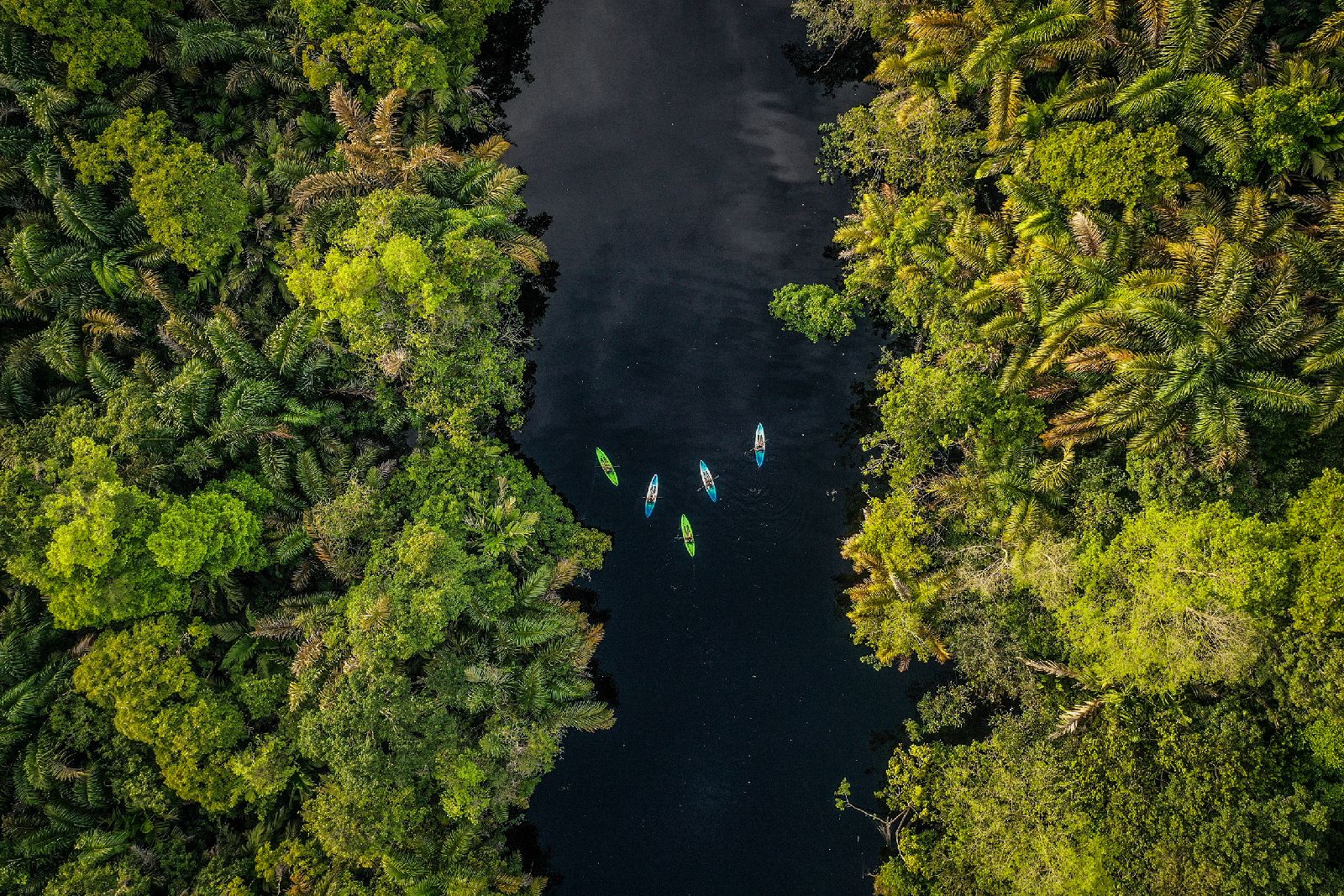 Aerial view of kayakers from Tortuga Lodge on the edge of Tortuguero National Park Costa Rica