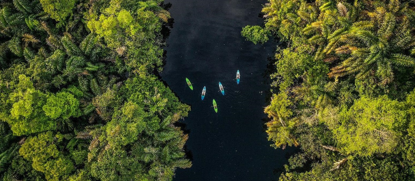 Aerial view of kayakers from Tortuga Lodge on the edge of Tortuguero National Park Costa Rica