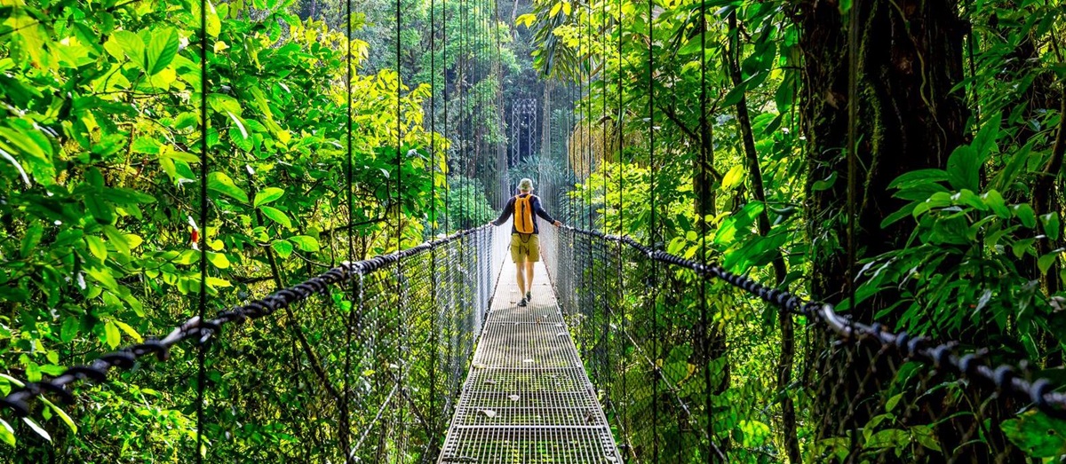 A man walking across a canopy bridge in Costa Rica