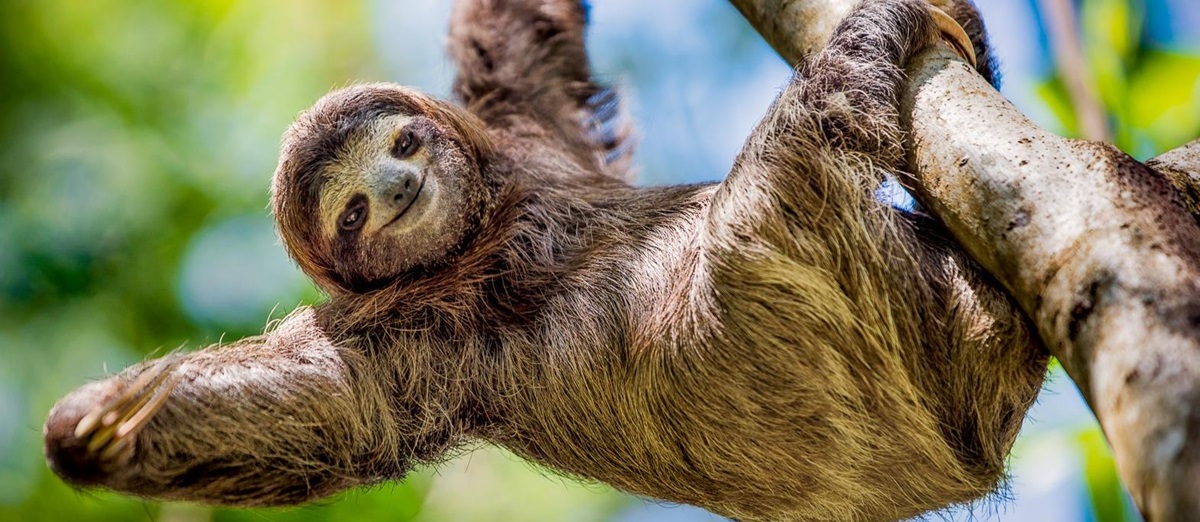 Costa Rica luxury holidays