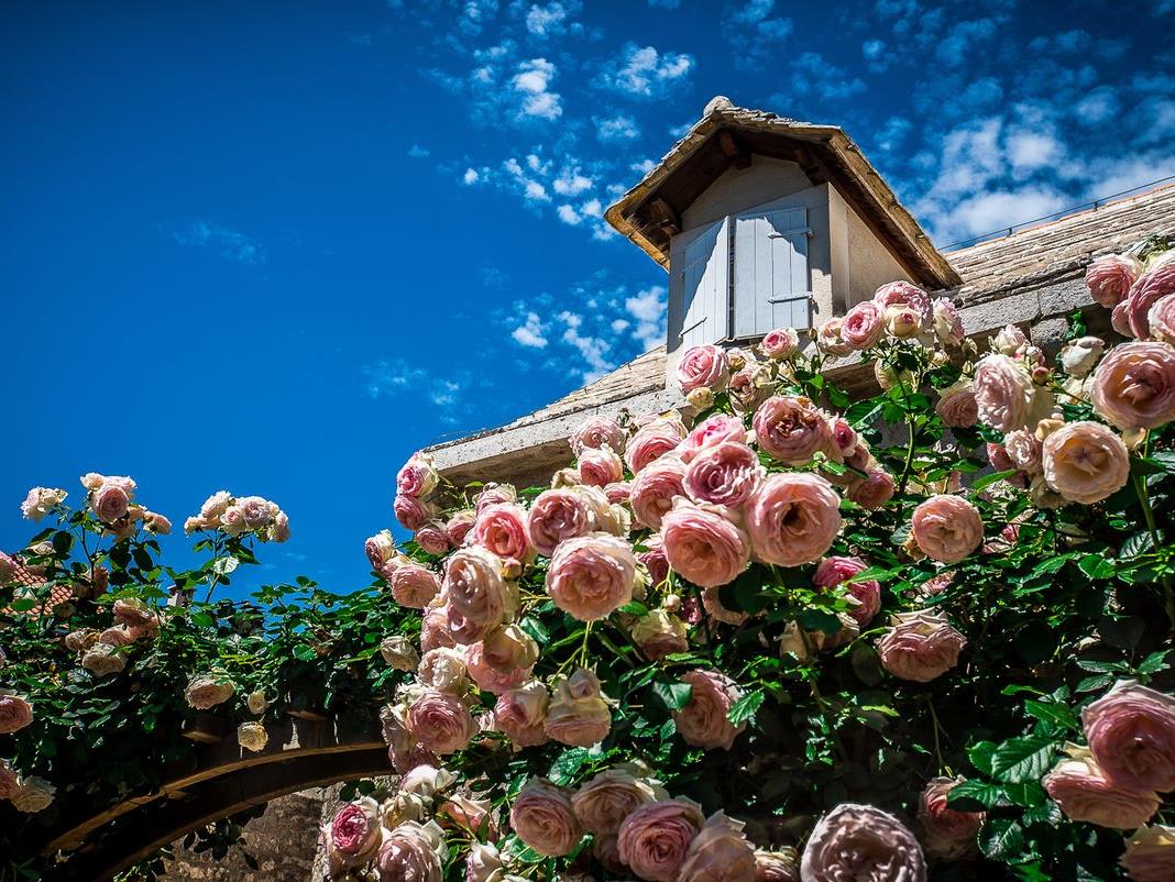 The Hotel Lemongarden on Brac island Croatia surrounded by roses
