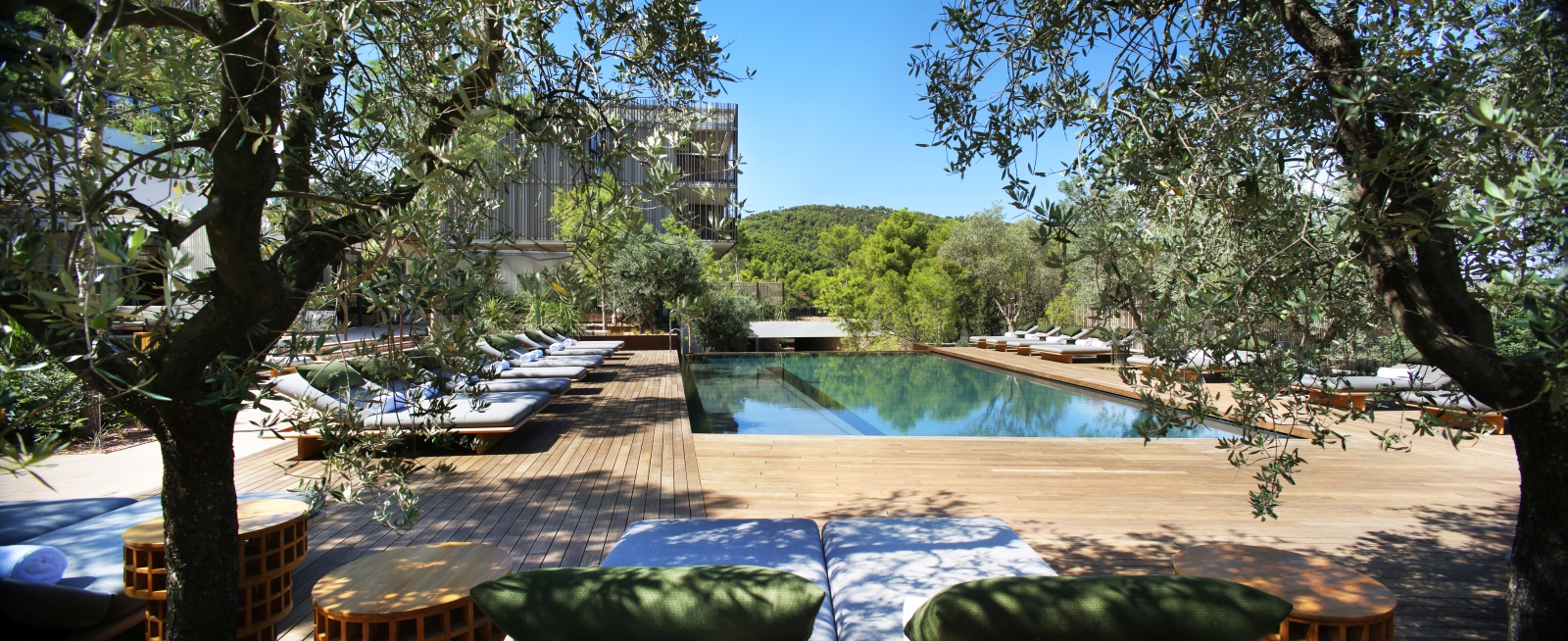 Loungers and olive trees around the pool at luxury resort Maslina on Hvar, Croatia