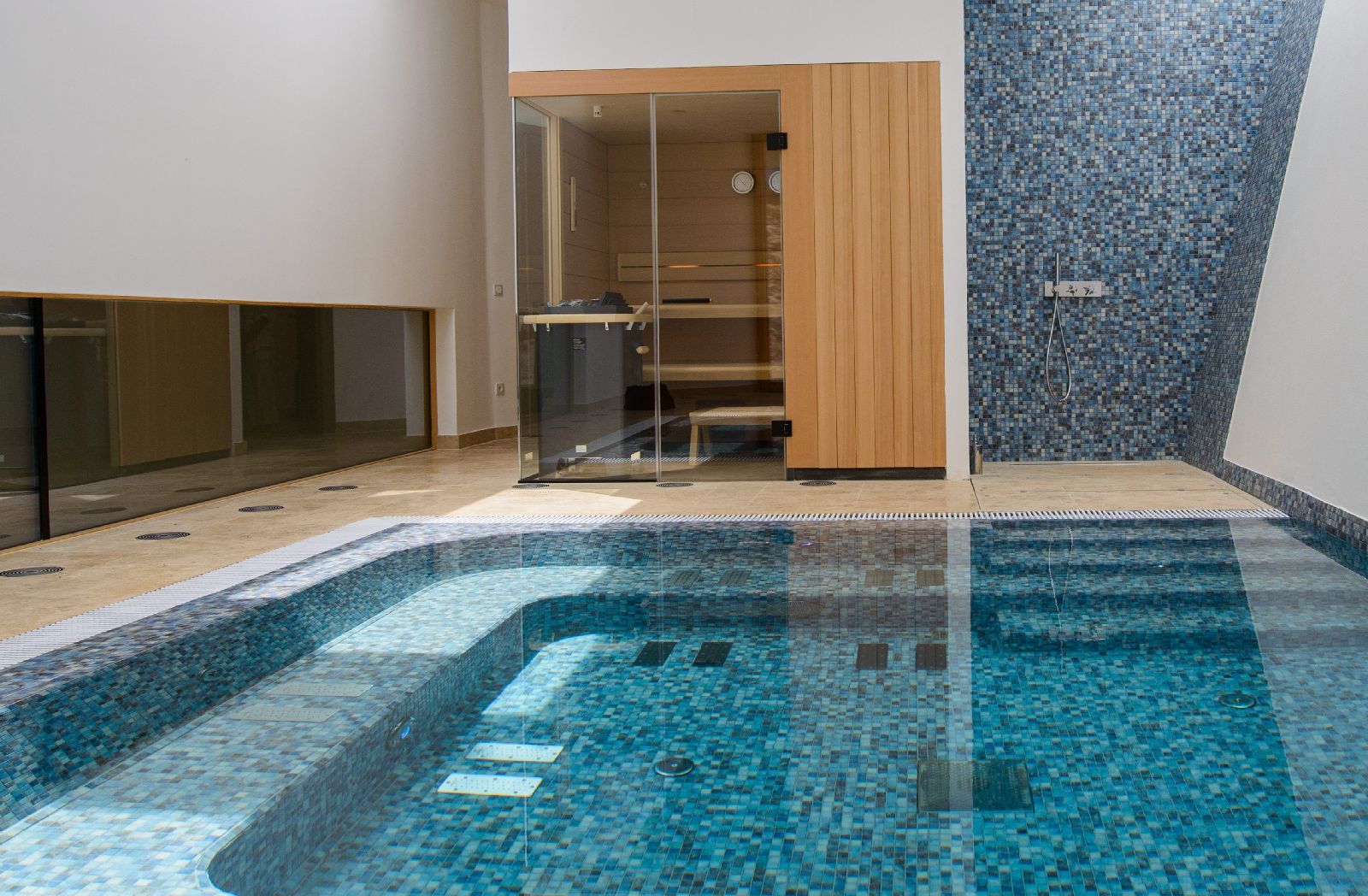 Hydrotherapy pool in the spa at Villa Nai 3.3 in Croatia