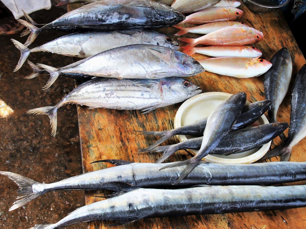 Freshly caught fish on the Mediterranean