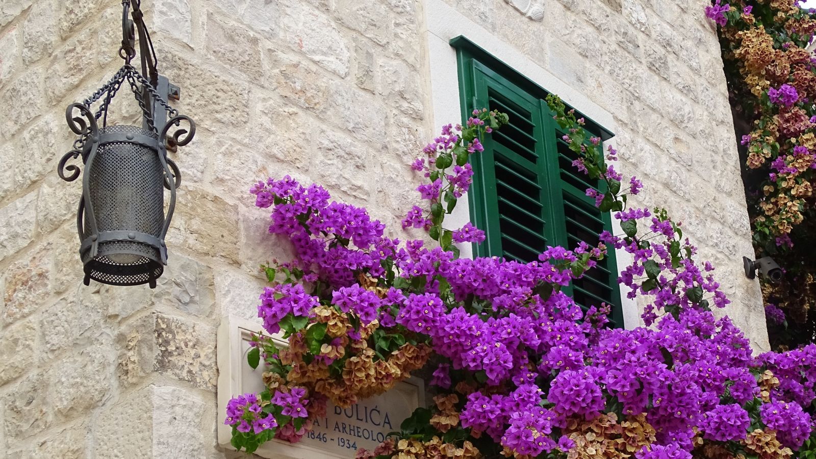 Historic street corner and lamp in Split Croatia with purple bougainvillea