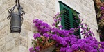Historic street corner and lamp in Split Croatia with purple bougainvillea