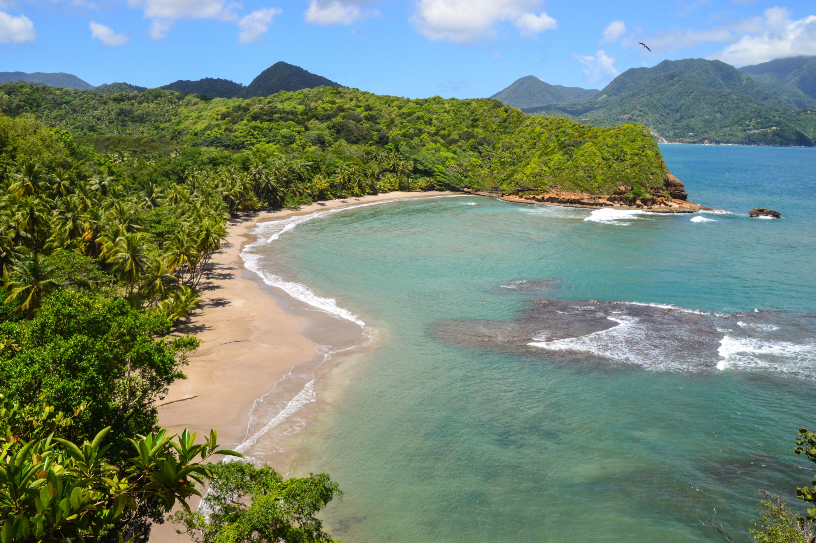 Aerial view of a palm-fringed sand beach in Dominica