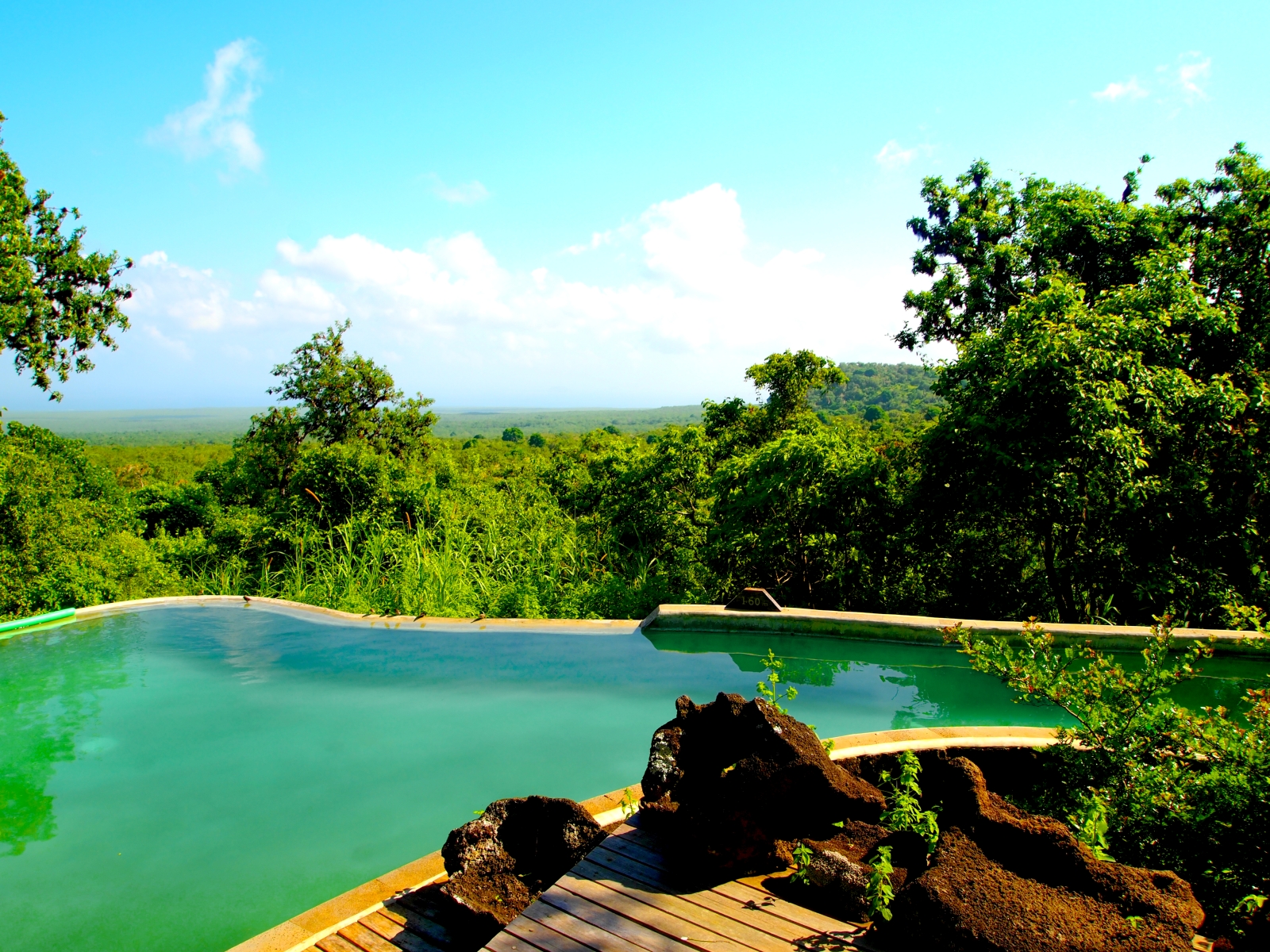 Pool at Galapagos Safari Camp in Galapagos