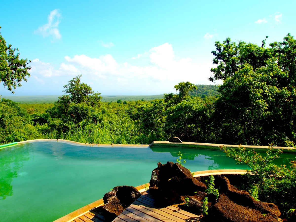Pool at Galapagos Safari Camp in Galapagos