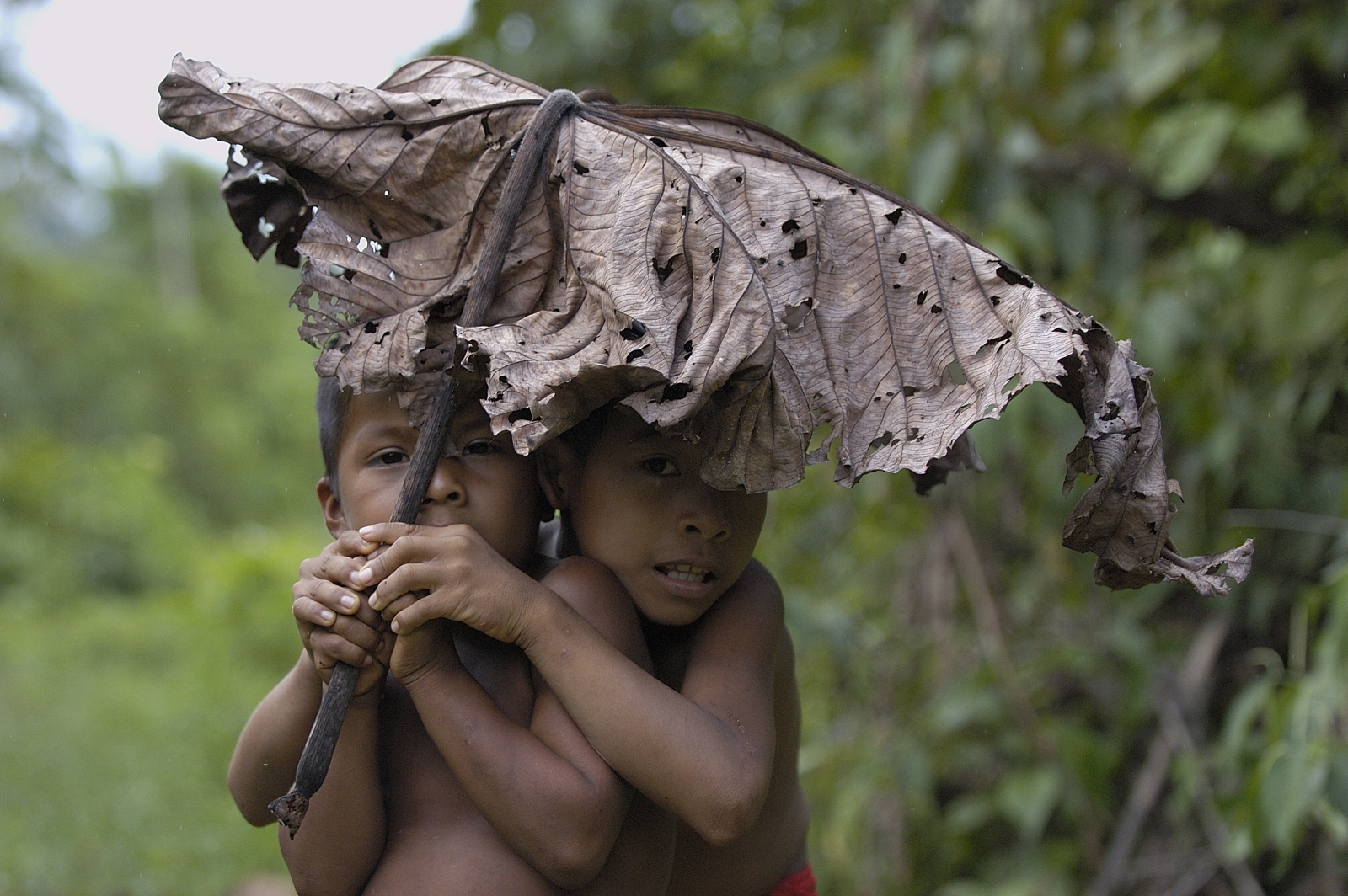 Boys at Napo Wildlife Centre Ecolodge in Ecuador