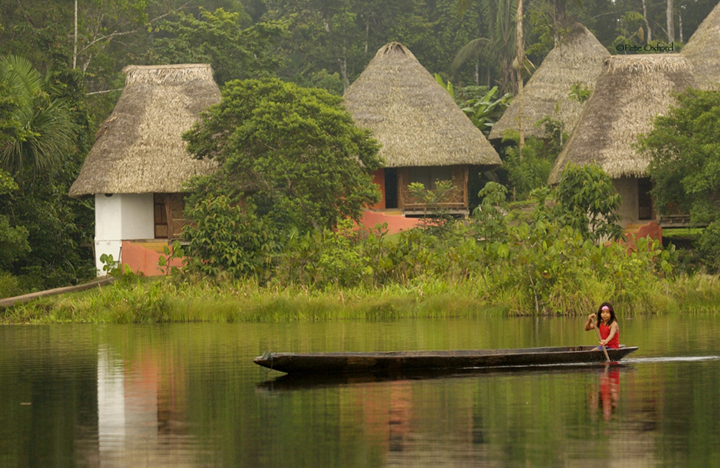 View from water at Napo Wildlife Centre Ecolodge in Ecuador