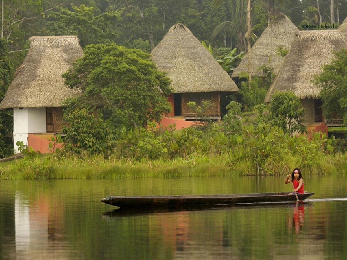 View from water at Napo Wildlife Centre Ecolodge in Ecuador