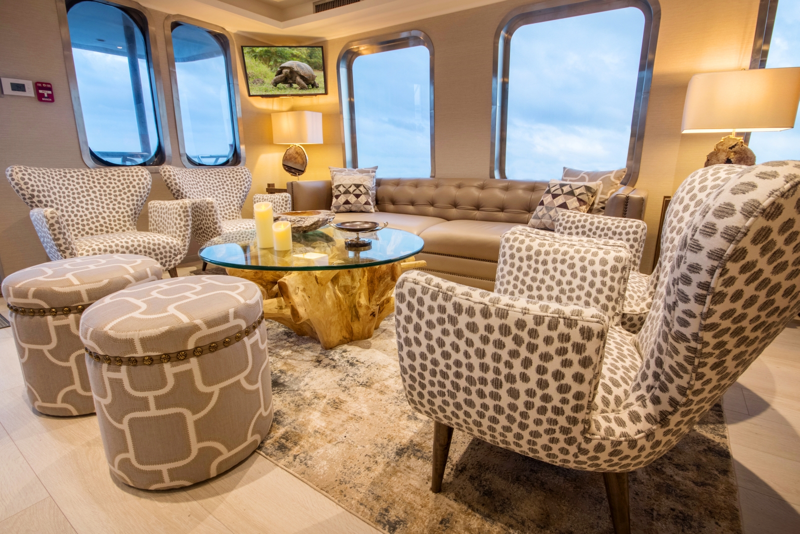 Lounge on board Theory in the Galapagos