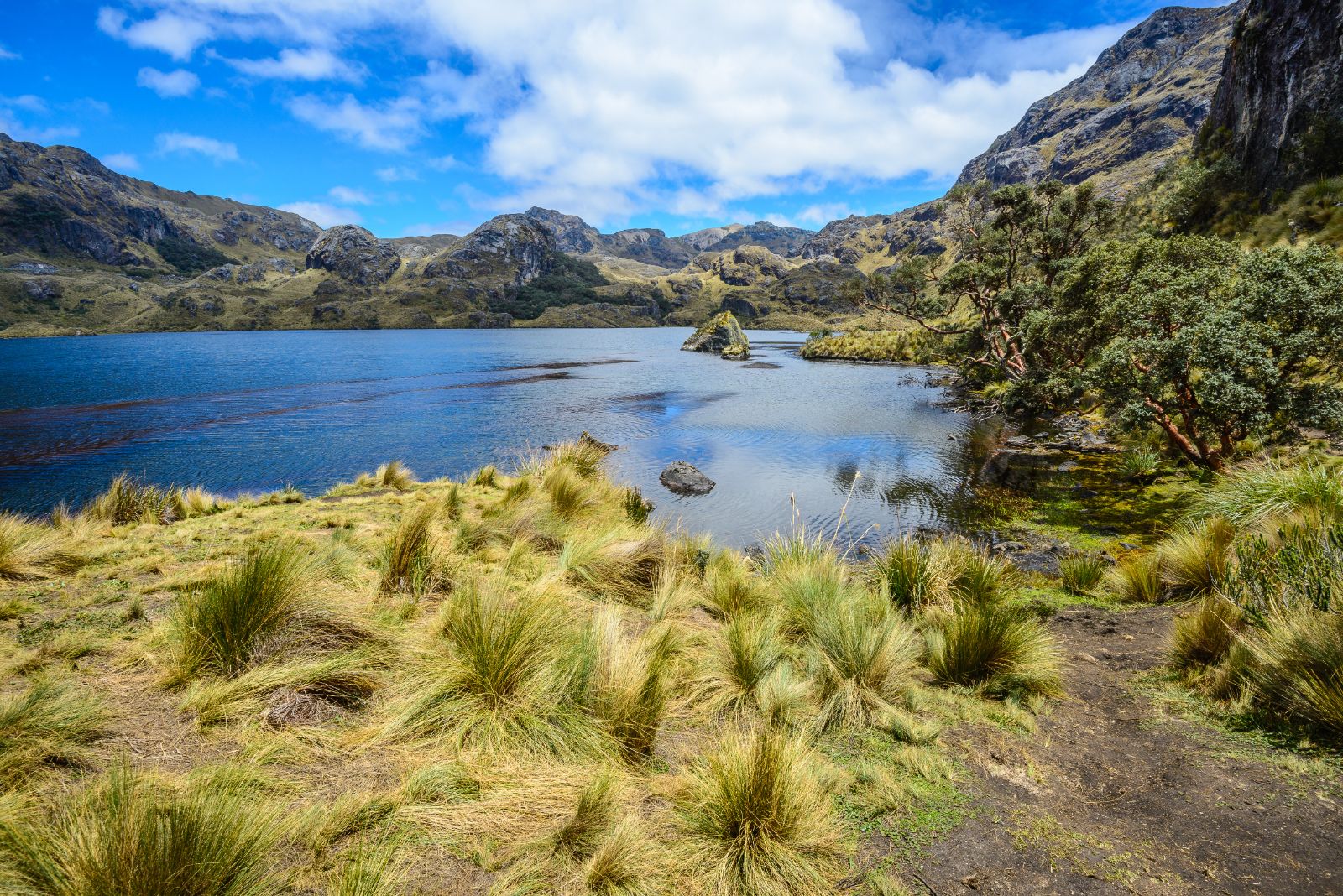 Toreadora Lake at Cajas National Park, Ecuador