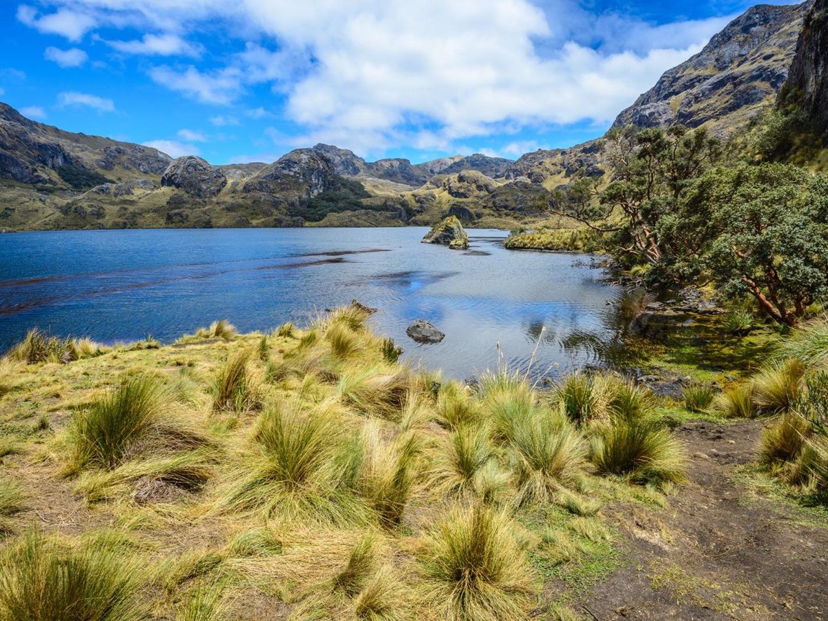 Toreadora Lake at Cajas National Park, Ecuador