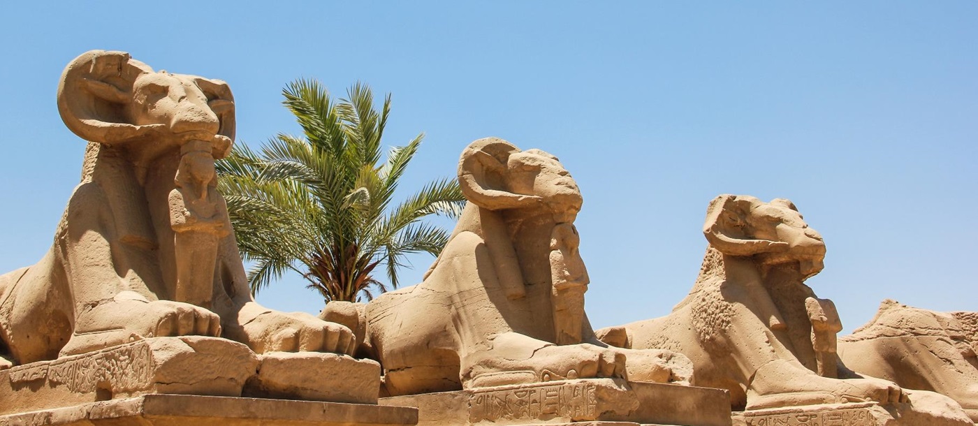 Alley of Ram Headed Sphinxes at Karnak, Egypt