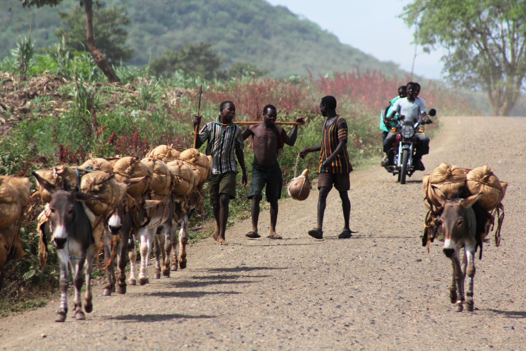 Arbaminch life in Ethiopia