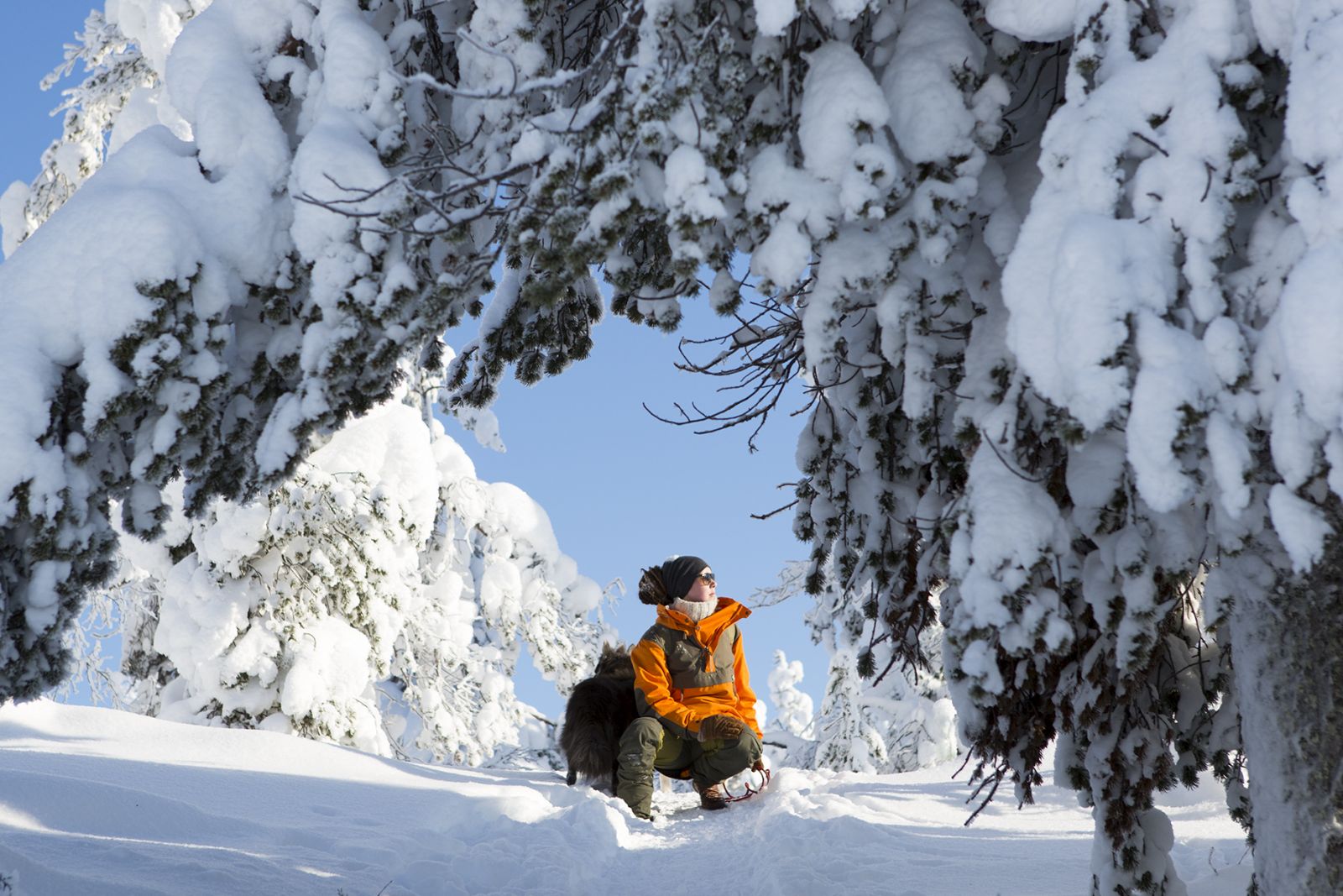 Exploring the Finnish landscape around Javri Lodge