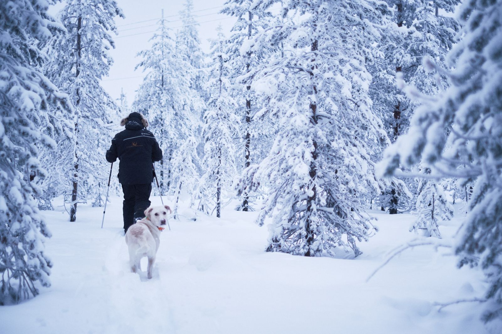Cross country skiing fromOctola wilderness lodge in Finnish Lapland