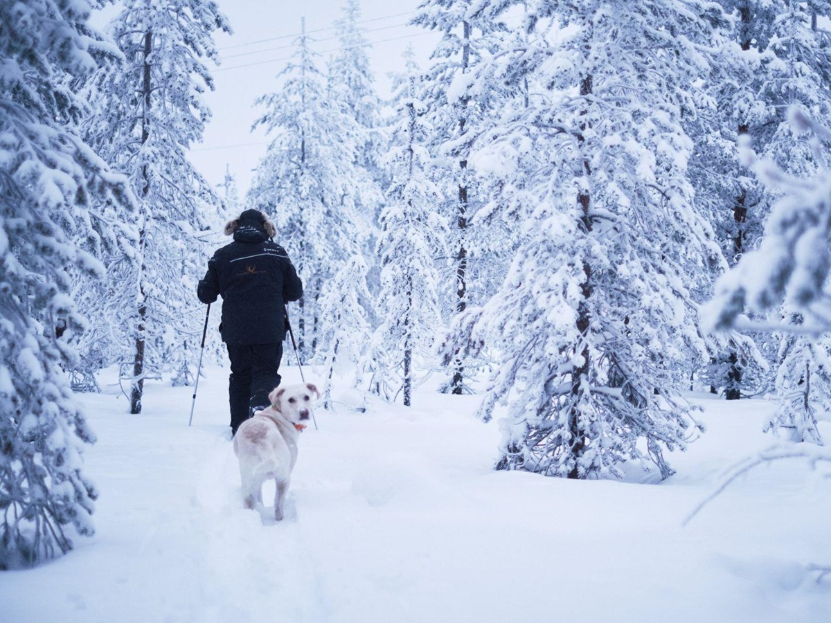 Cross country skiing fromOctola wilderness lodge in Finnish Lapland