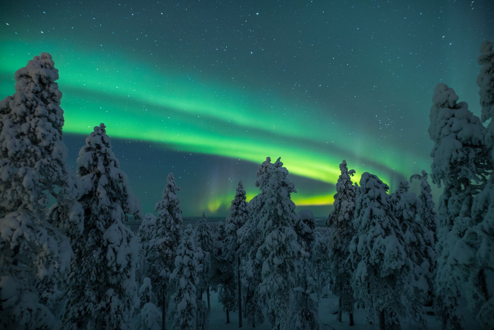 View of the Northern Lights from Octola  wilderness lodge in Lapland Finland