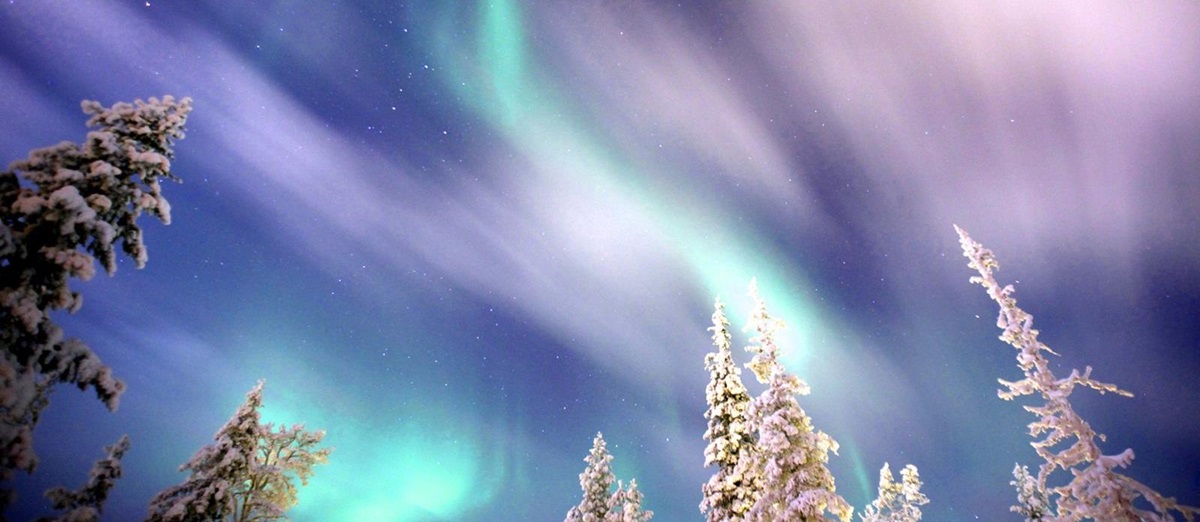 The Northern Lights above Javri Lodge in Finland