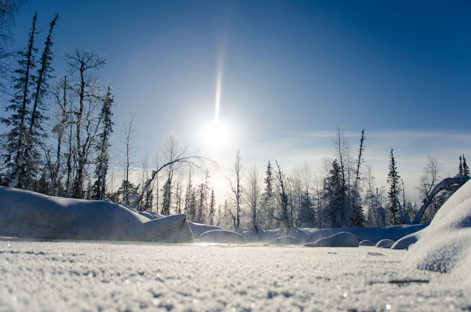 Urho Kekkonen National Park in the Finnish Lapland