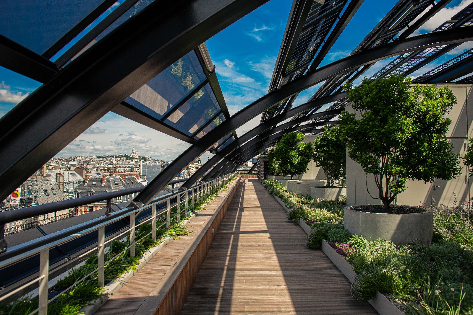 Urban garden on the rooftop of Hotel Madame Reve Paris