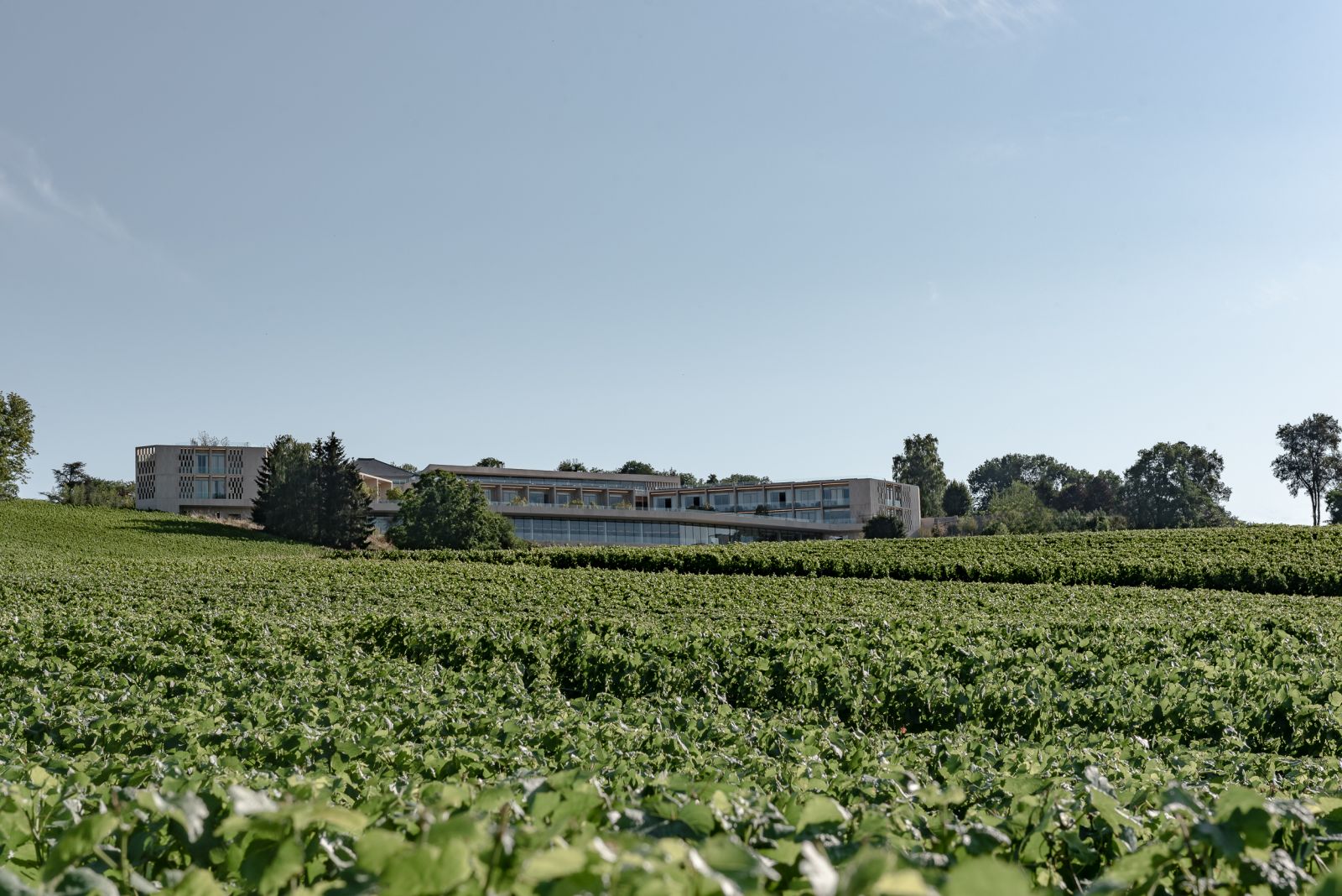 Vineyards and view of the Royal Champagne Hotel and Spa in France