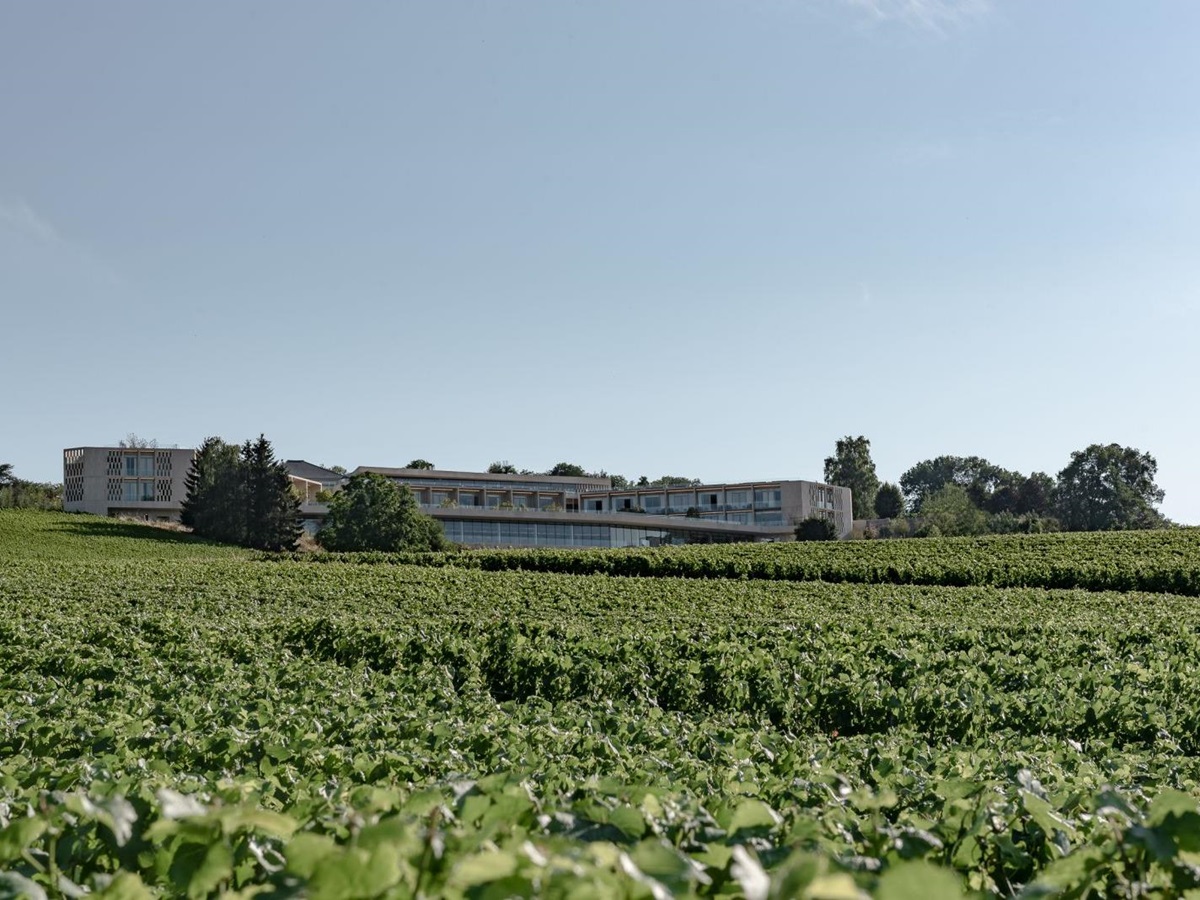 Vineyards and view of the Royal Champagne Hotel and Spa in France
