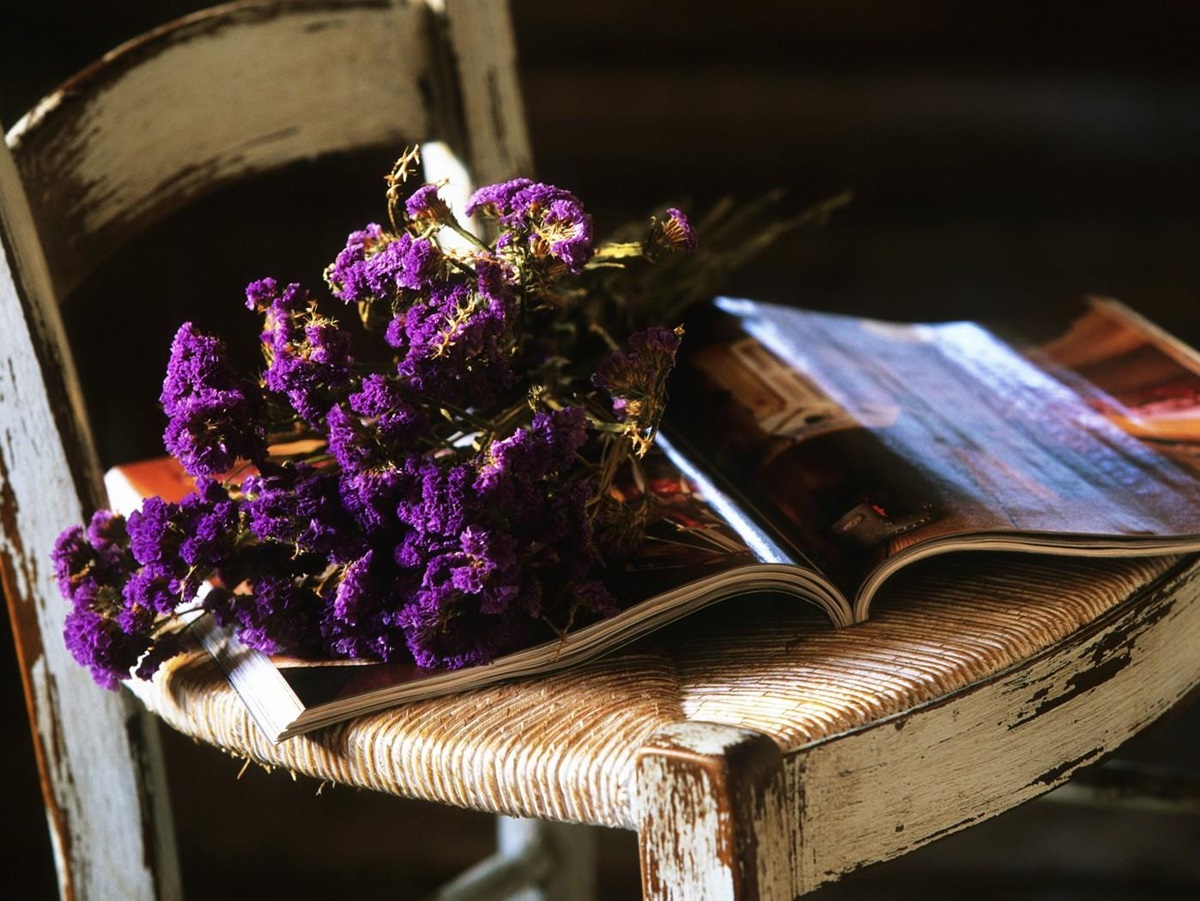 Close-up of a chair and magazine in A Liccia, Corsica