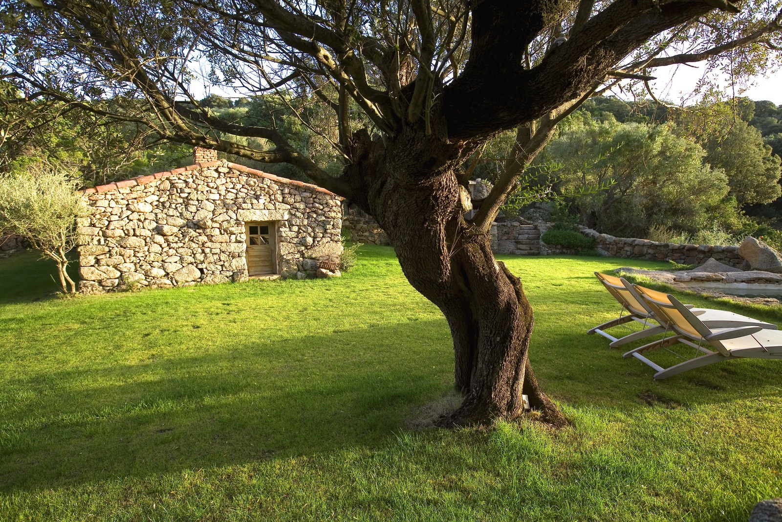Garden of A Nepita, Corsica