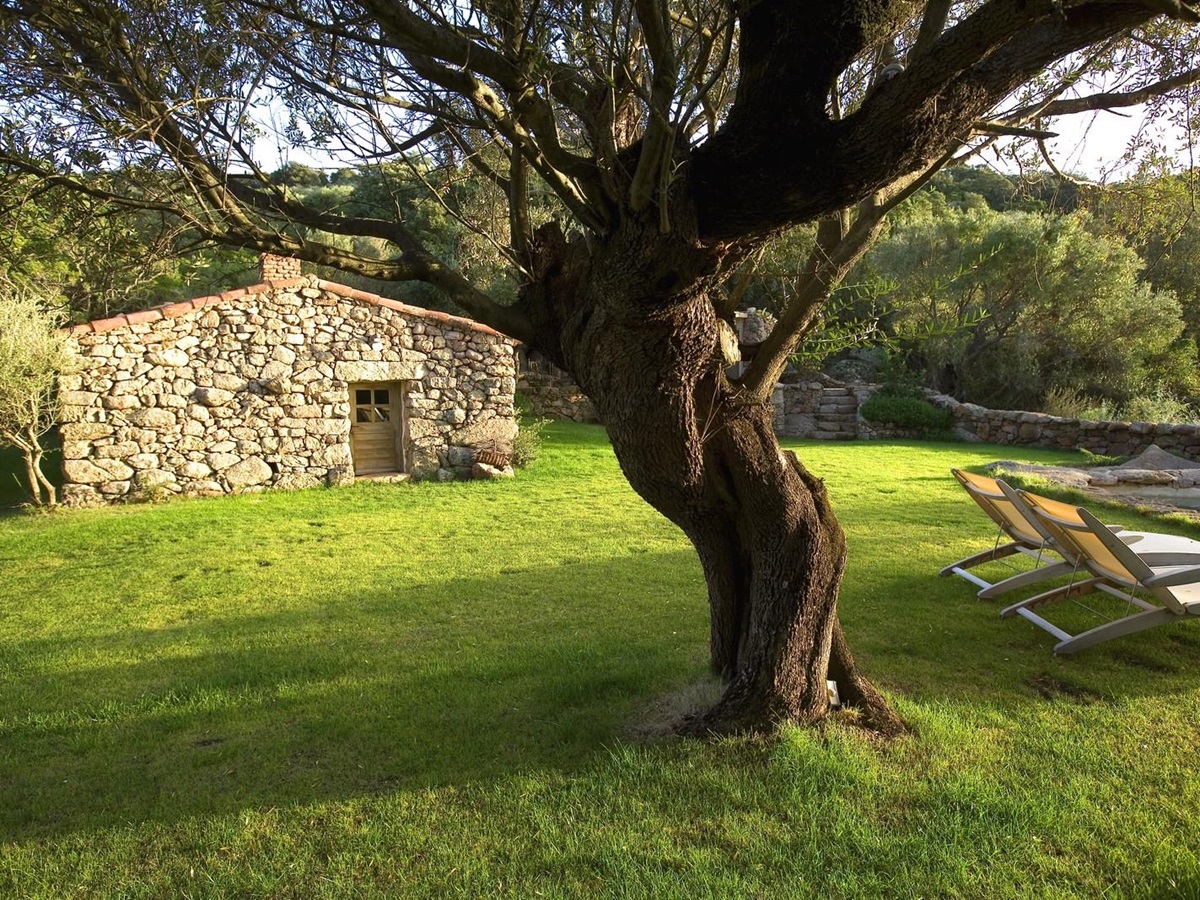 Garden of A Nepita, Corsica