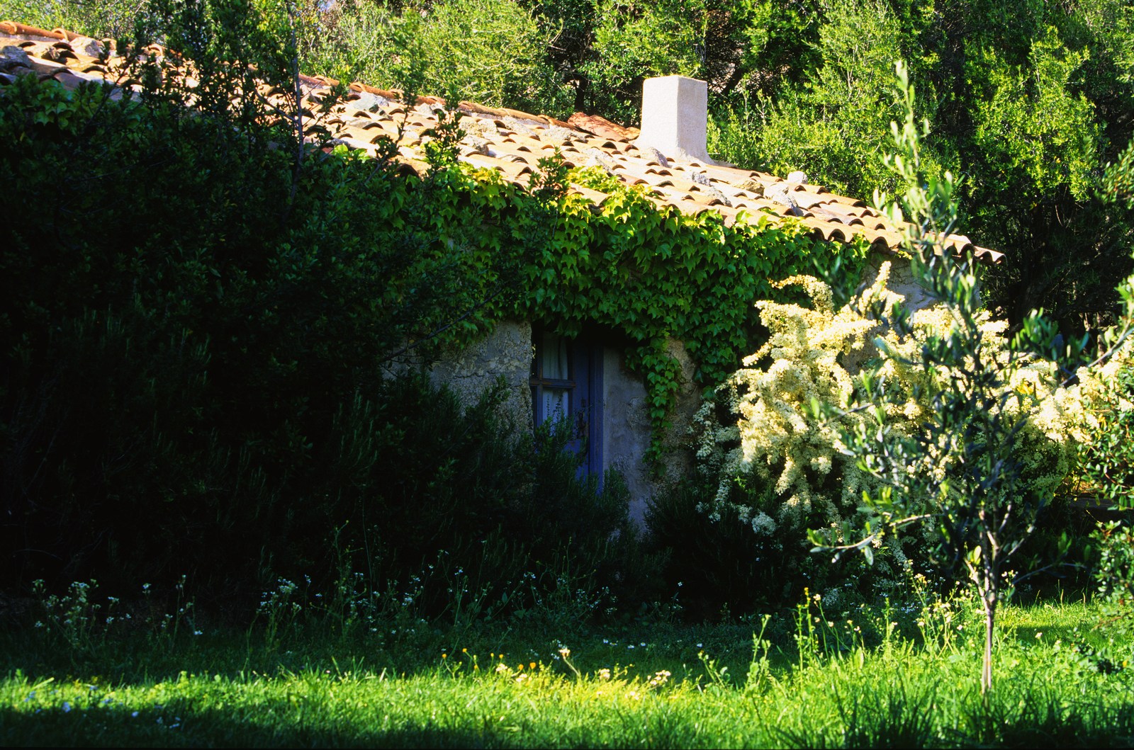 Annex of Eddera, Corsica