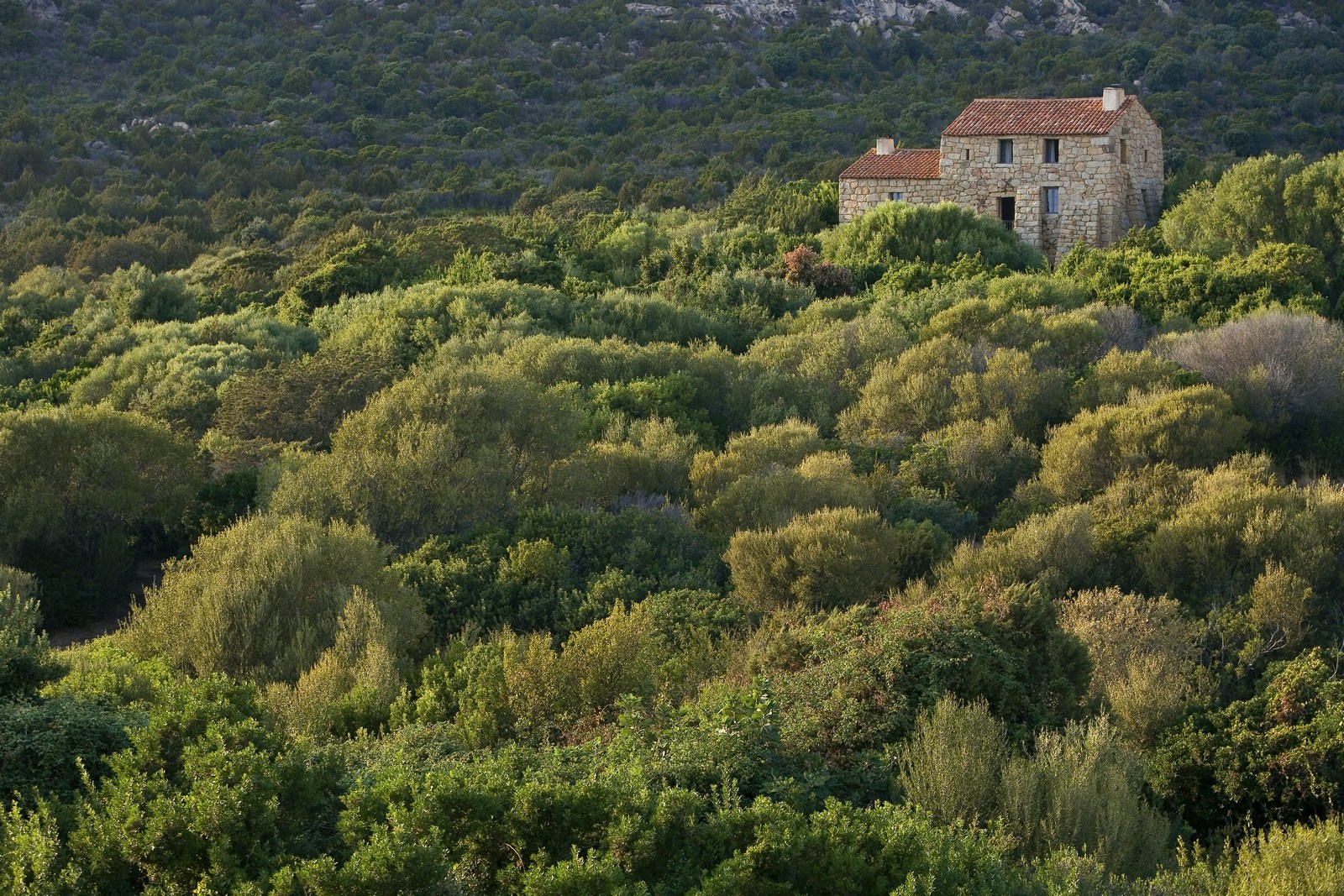 Facade and surroundings of Eddera, Corsica