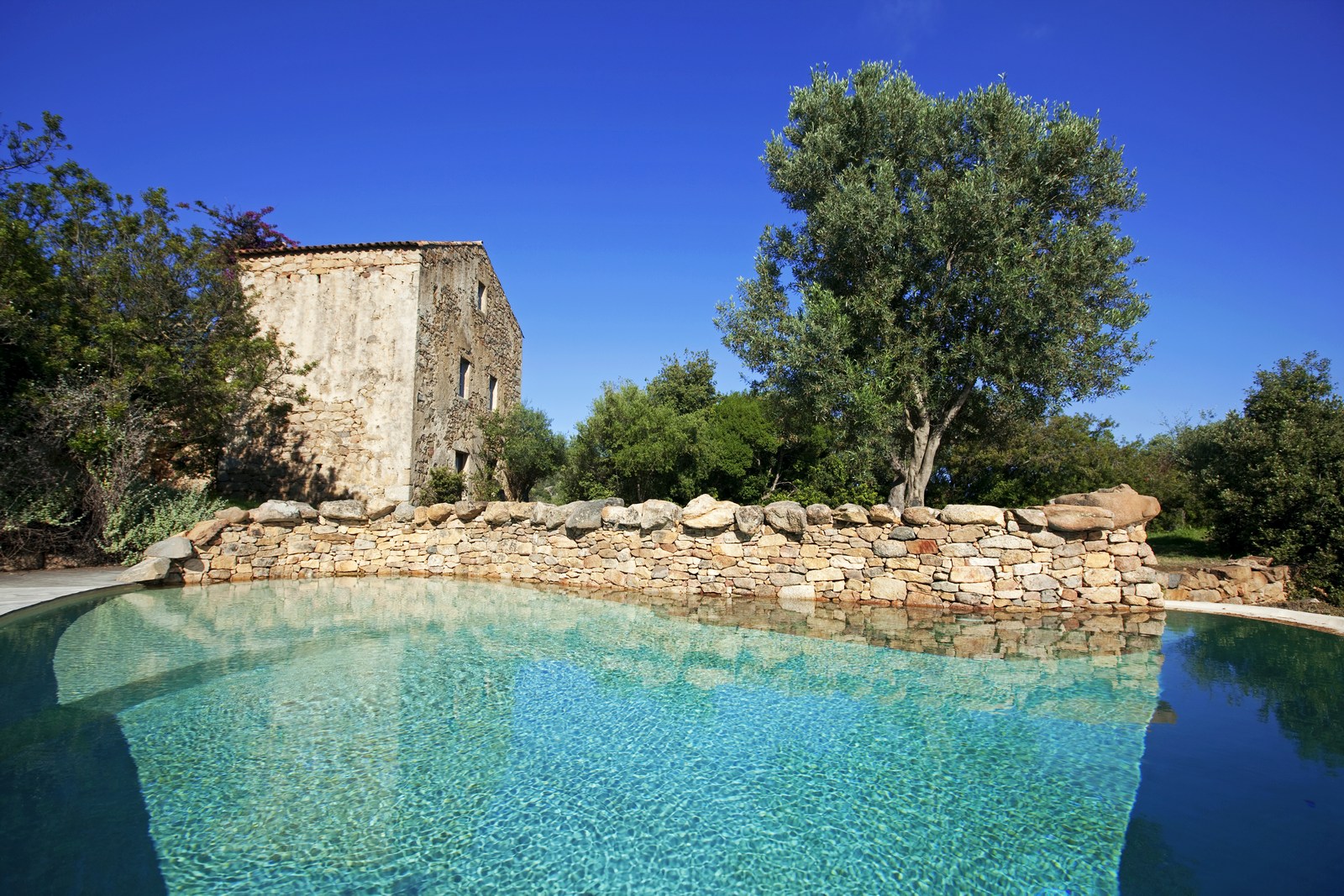 swimming pool and facade of Nivara, Corsica