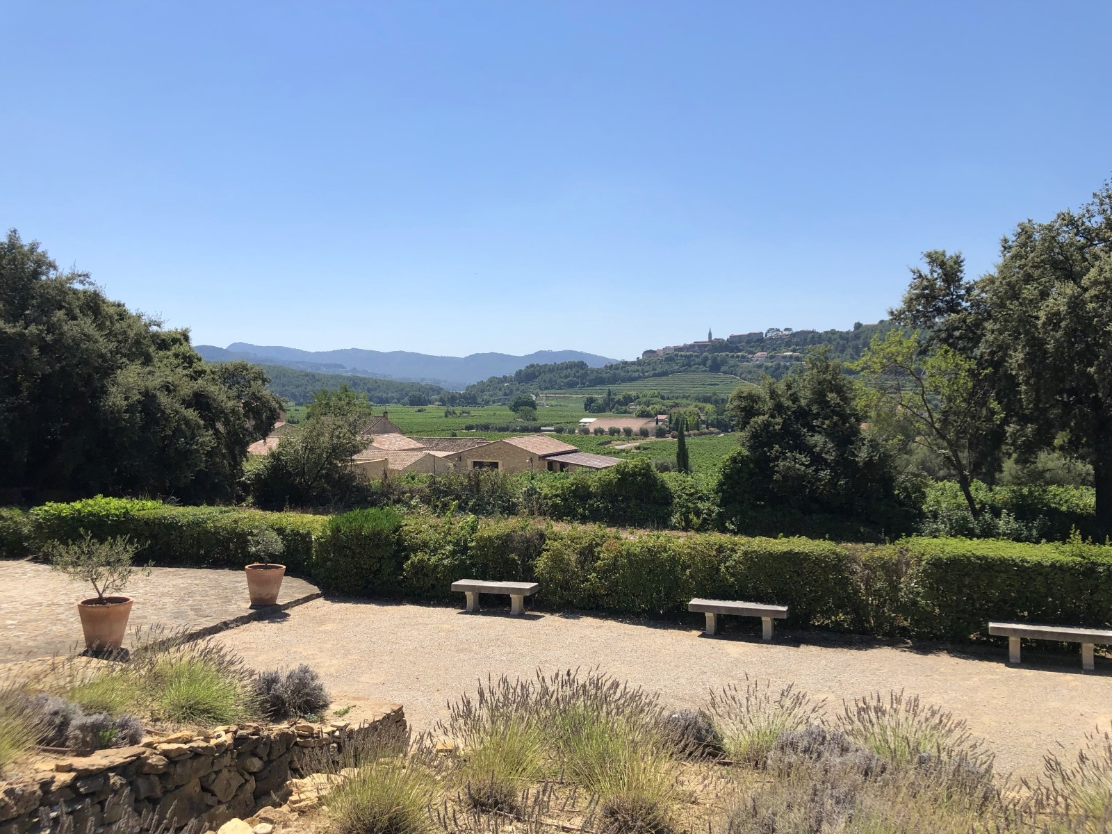 Countryside view with lavender, hills and trees at La Cadiere on the Cote d’Azur, France