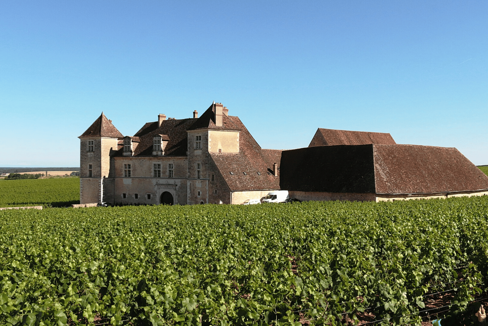 Cheateau de Close de Vougeot, Burgundy